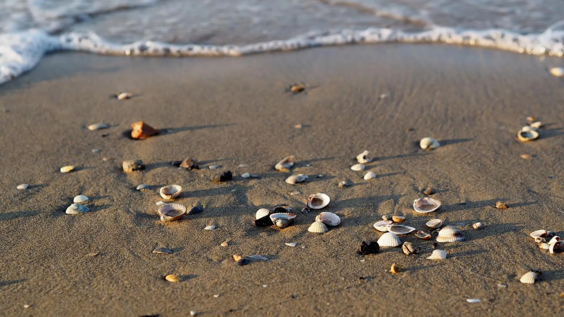 Comfortable Flat Next To The Beach - Beahost Bibione